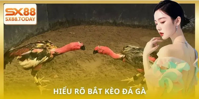 Hướng Dẫn Bắt Kèo Đá Gà Từ A–Z Dành Cho Người Muốn Thắng - Zixon