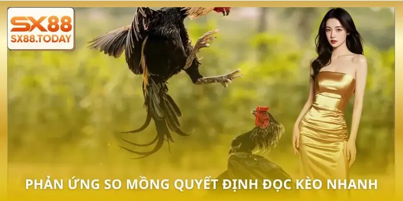 Hướng Dẫn Bắt Kèo Đá Gà Từ A–Z Dành Cho Người Muốn Thắng - Zixon