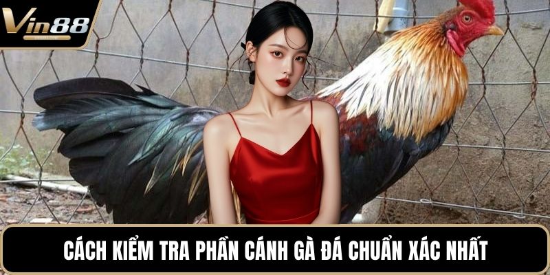 Cách Chọn Giống Gà Đá Cựa Sắt Hiệu Quả Nhất Hiện Nay - Zixon