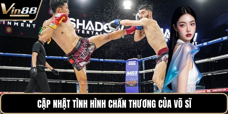 Cá Cược Muay Thái Đỉnh Cao Với Tỷ Lệ Thưởng Hấp Dẫn - Zixon