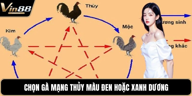Phong Thủy Trong Đá Gà Mang Đến Cơ Hội Chiến Thắng - Zixon