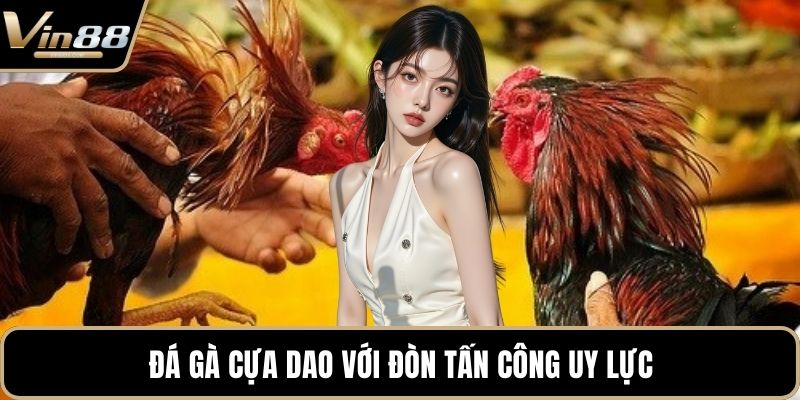 Đá Gà VIN88 - Thiên Đường Chọi Gà Thưởng Cực Khủng - Zixon