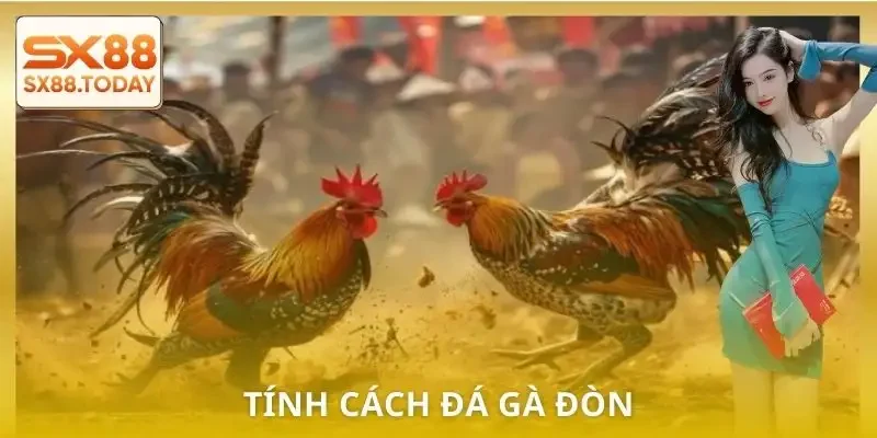 Đá Gà Đòn Chi Tiết | Luật, Hạng Chiến Kê và Cách Bắt Kèo - Zixon
