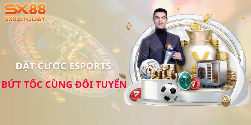 Thể Thao Ảo - Cách Chơi Nhanh Cho Người Mới Lẫn Dân Chuyên - Zixon