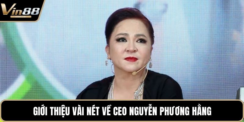 CEO Nguyễn Phương Hằng - Người Dẫn Dắt VIN88 Thành Công - Zixon