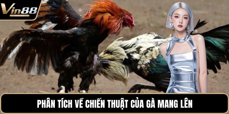 Mẹo Chơi Đá Gà Chiến Thuật Hay Mang Lại Tiền Thưởng - Zixon