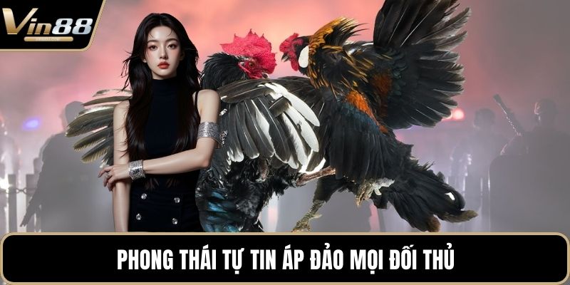Đá Gà VIN88 - Thiên Đường Chọi Gà Thưởng Cực Khủng - Zixon