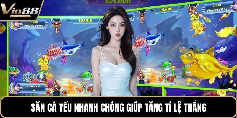 Cách Chơi Bắn Cá Chuẩn Xác Giúp Tân Thủ Săn Thưởng - Zixon