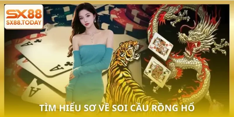Soi Cầu Rồng Hổ - Bí Quyết Đọc Chuẩn Tăng Tỷ Lệ Thắng - Zixon