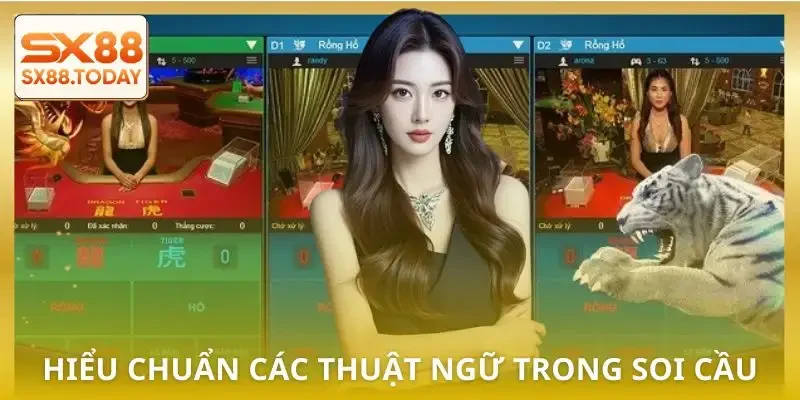 Soi Cầu Rồng Hổ - Bí Quyết Đọc Chuẩn Tăng Tỷ Lệ Thắng - Zixon