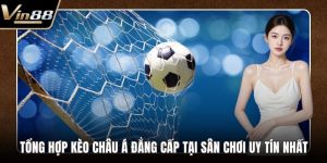 Thể Thao VIN88 - Điểm Đến Lý Tưởng Cho Đam Mê Bất Tận - Zixon