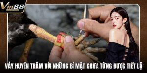 Đá Gà VIN88 - Thiên Đường Chọi Gà Thưởng Cực Khủng - Zixon