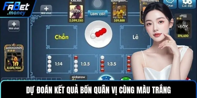 Xóc Đĩa Fabet Và Những Sảnh Cược Đẳng Cấp Thượng Lưu - Zixon