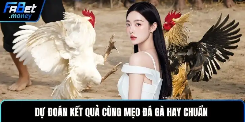 Mẹo Đá Gà Hay Và Những Chiến Thuật Đầu Tư Thông Minh - Zixon