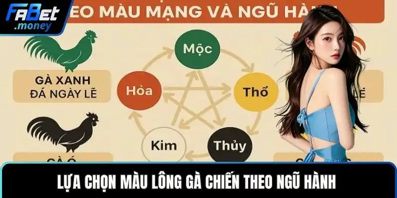 Mẹo Đá Gà Hay Và Những Chiến Thuật Đầu Tư Thông Minh - Zixon