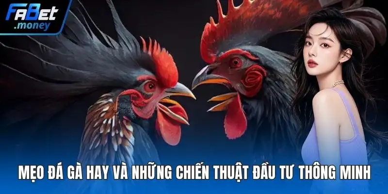 Trường Gà Thomo Fabet Sảnh Cược Đá Gà Đỉnh Cao Thế Giới - Zixon