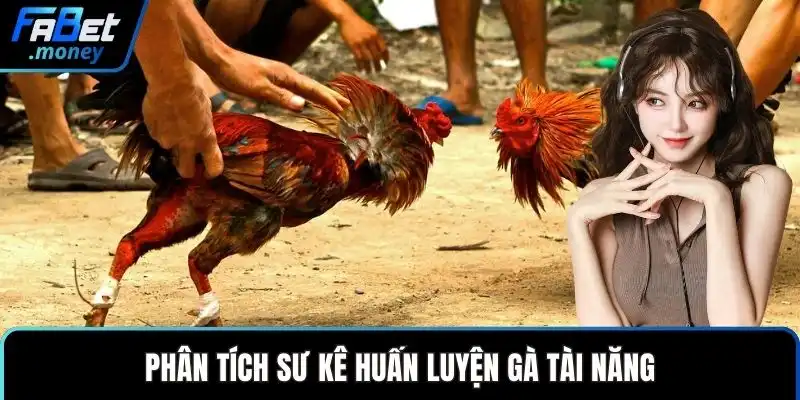 Trường Gà Thomo Fabet Sảnh Cược Đá Gà Đỉnh Cao Thế Giới - Zixon
