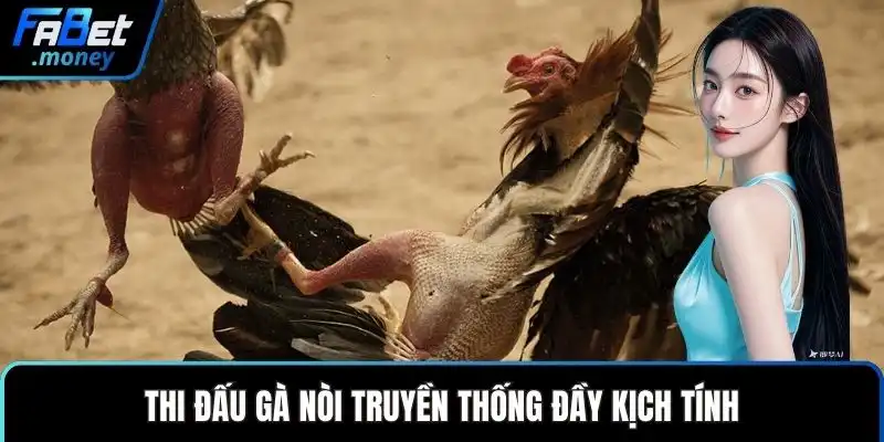 Trường Gà Thomo Fabet Sảnh Cược Đá Gà Đỉnh Cao Thế Giới - Zixon