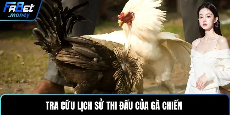 Đá Gà Fabet Cùng Những Trận Chiến Kê Đầy Kịch Tính - Zixon